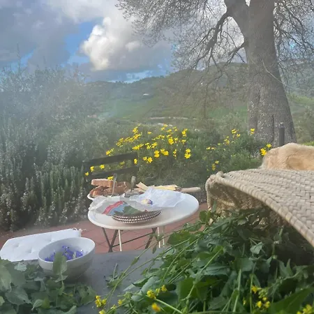 Space In Paradise * Castelbuono (Sicily)