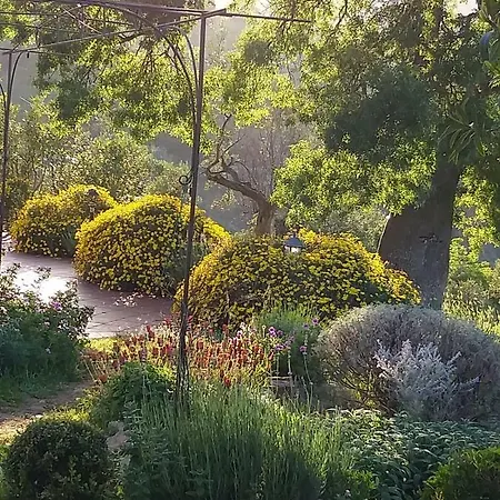 Space In Paradise Castelbuono (Sicily)